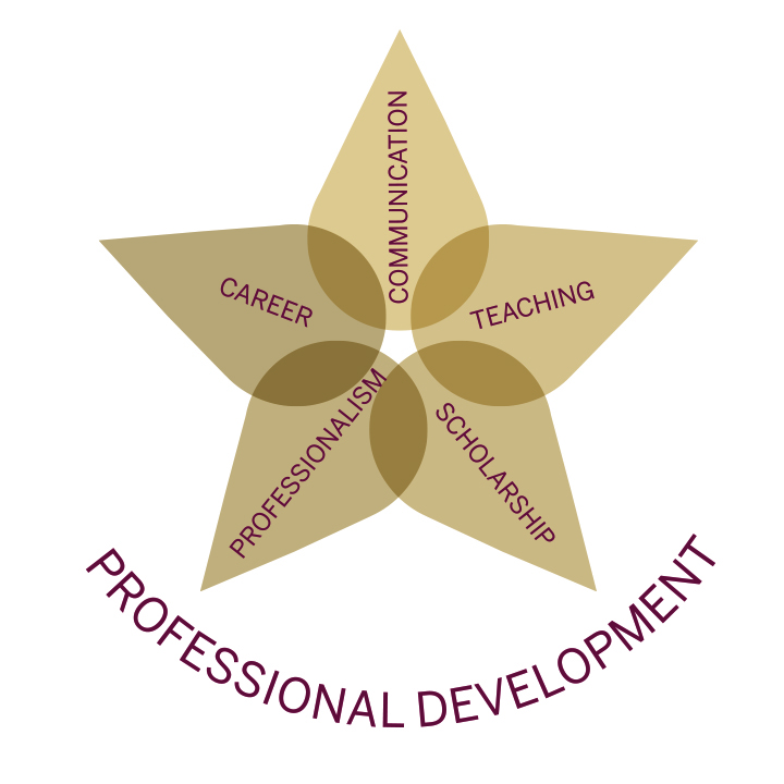 Thesis professional development of teachers